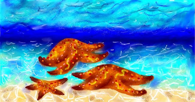 Drawing of Starfish by Lise