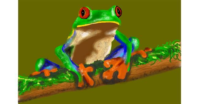 Drawing of Frog by Humo de copal