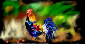 Drawing of Rooster by Eclat de Lune