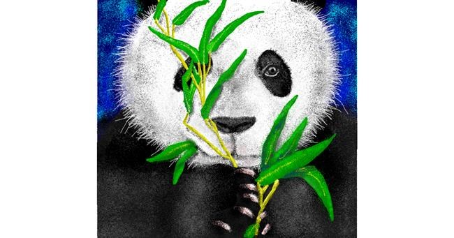 Drawing of Bamboo by JjjjjjJison