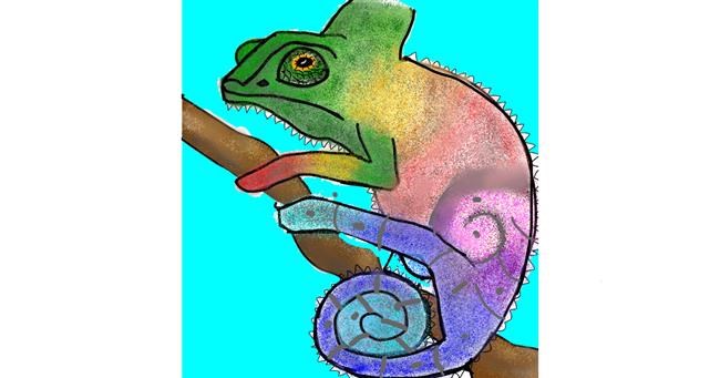 Drawing of Chameleon by Bri