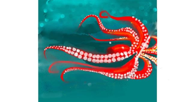 Drawing of Octopus by Anshal