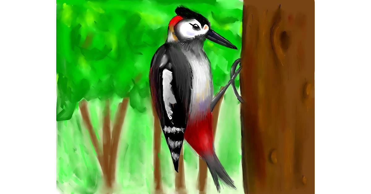 Drawing of Woodpecker by Rizz