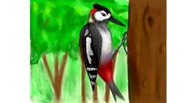 Drawing of Woodpecker by Rizz