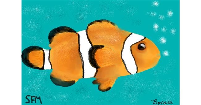Drawing of Clownfish by Banana