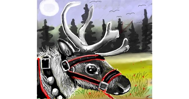 Drawing of Reindeer by Leah