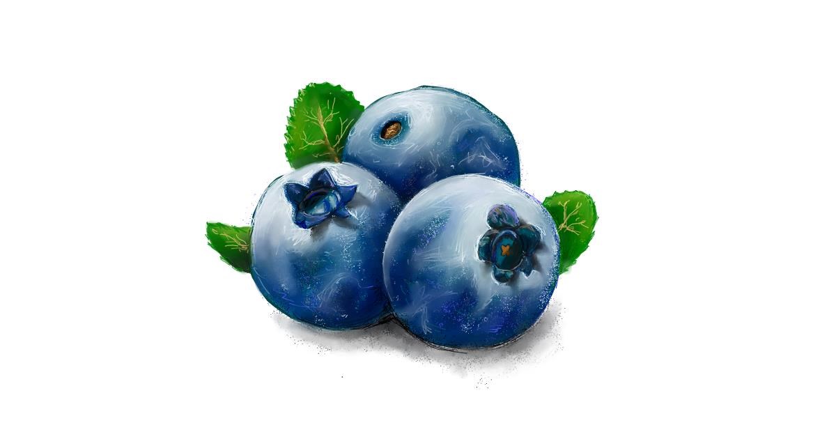 Drawing of Blueberry by Andromeda