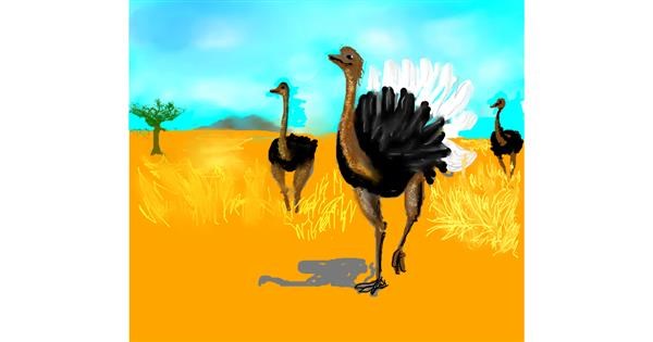 Drawing of Ostrich by Dexl - Drawize Gallery!