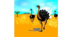 Drawing of Ostrich by Dexl