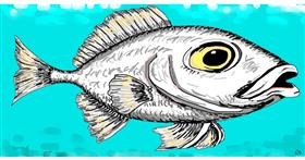 Fisch-Zeichnung von Swimmer 