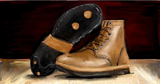 Drawing of Boots by Mia