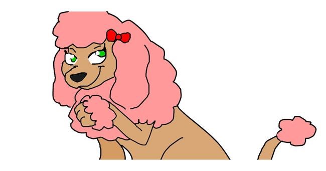 Drawing of Poodle by spark