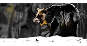 Medvjed - autor: Chaching