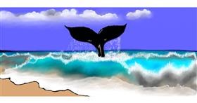 Drawing of Whale by Chaching