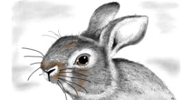 Drawing of Rabbit by Flowerpot