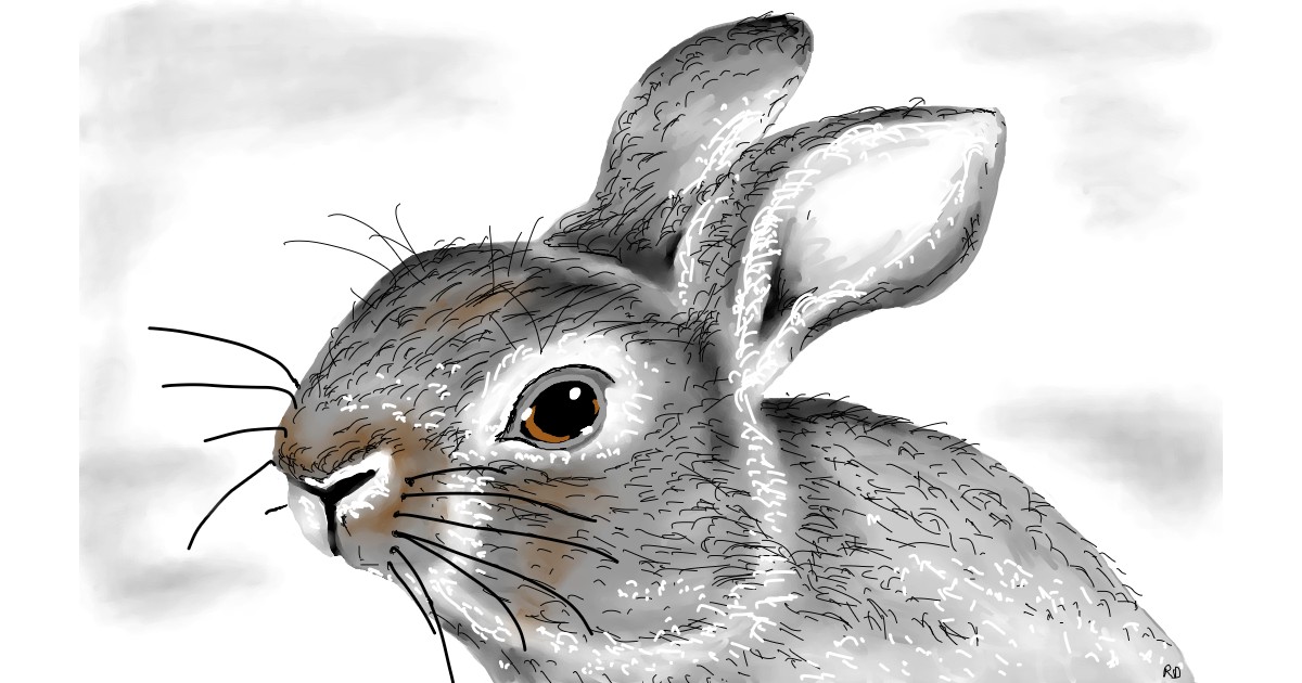 Watch Flowerpot draw Rabbit!