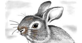 Zec - autor: flowerpot