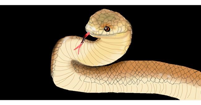 Drawing of Snake by leonardo de vinci