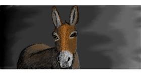 Drawing of Donkey by Amy