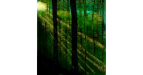 Drawing of Forest by Joze