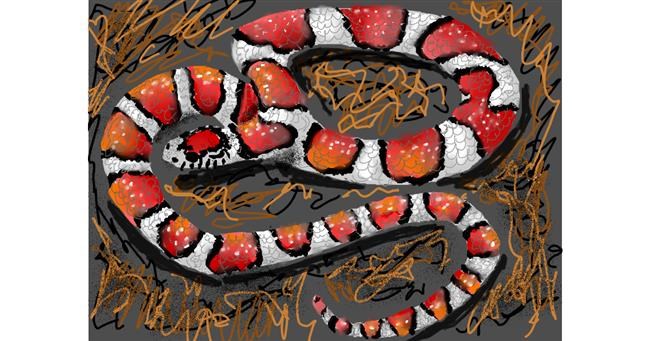 Drawing of Snake by SAM AKA MARGARET 🙄