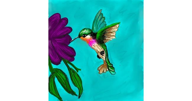 Drawing of Hummingbird by KayXXXlee
