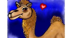 Drawing of Camel by zeenmachine