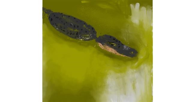 Alligator-Zeichnung von Jamilynn