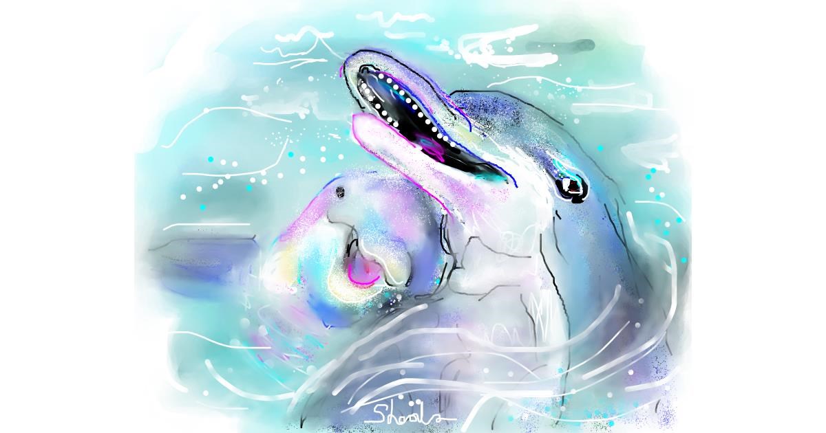 Drawing of Dolphin by Kai 🐾