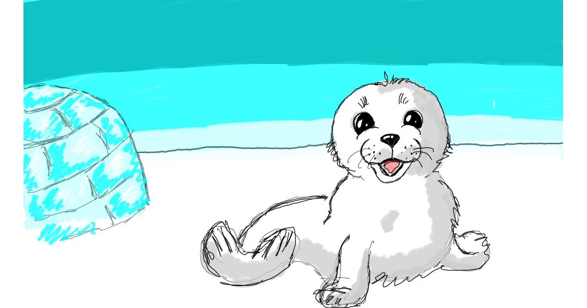 Drawing of Seal by Kokos