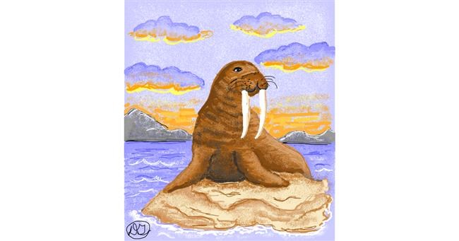 Drawing of Walrus by GreyhoundMama