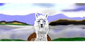 Drawing of Llama by Chaching