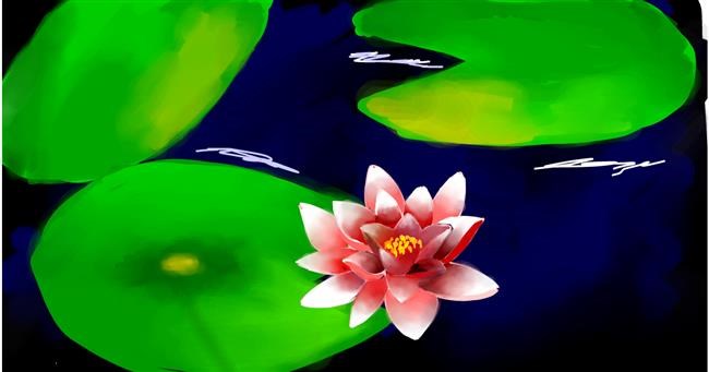 Drawing of Water lily by Ryu