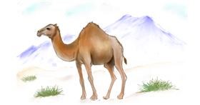 Kamel-Zeichnung von 🌱...Mirdu...💚