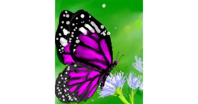 Schmetterling-Zeichnung von Muni