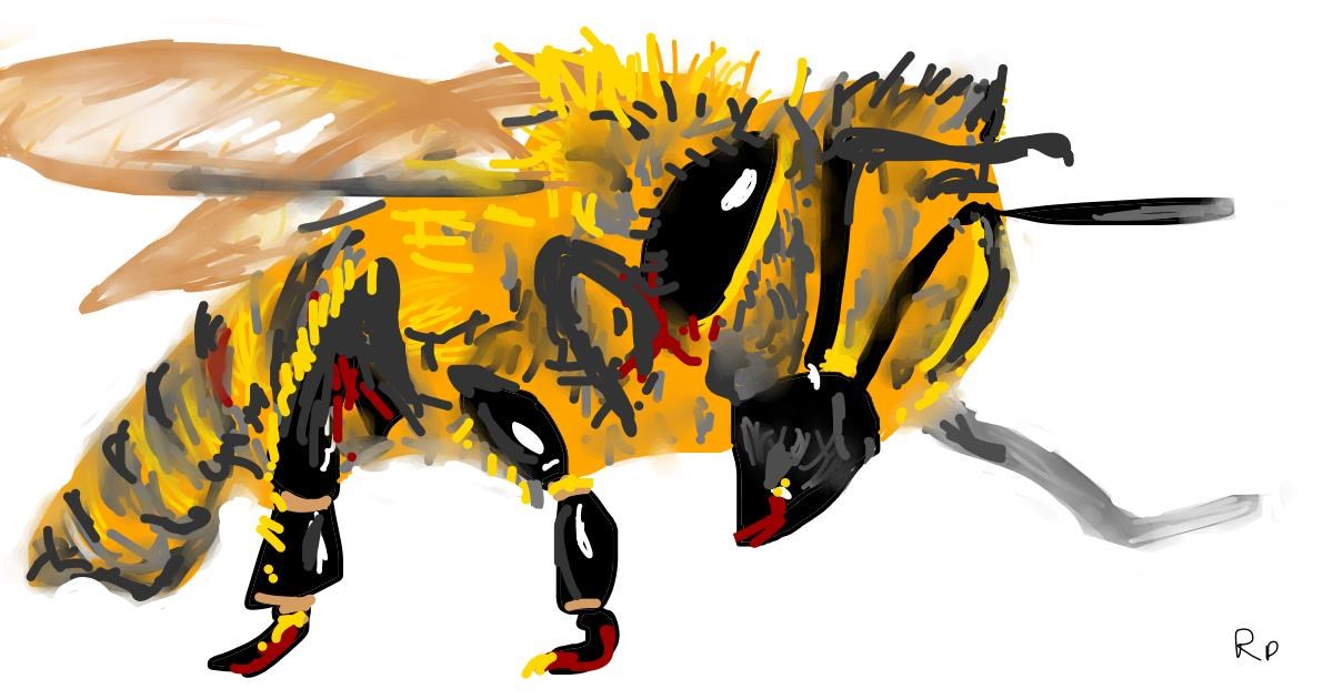 Full Size Drawing