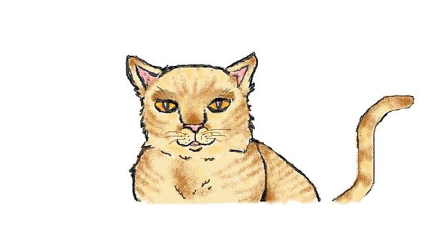 Katze-Zeichnung von hahah
