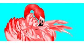 Drawing of Flamingo by Jenny