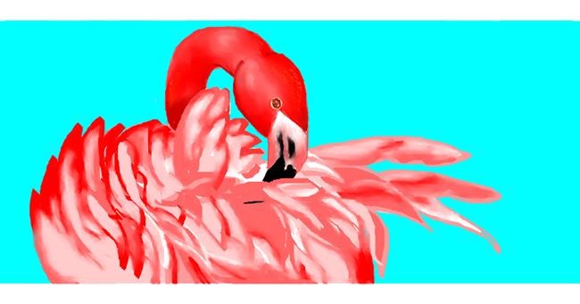 Drawing of Flamingo by Jenny