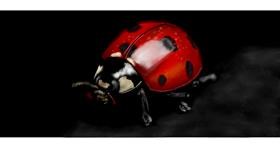 Drawing of Ladybug by Annie