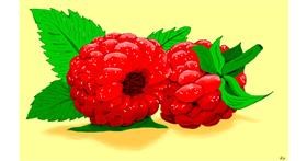Drawing of Raspberry by flowerpot