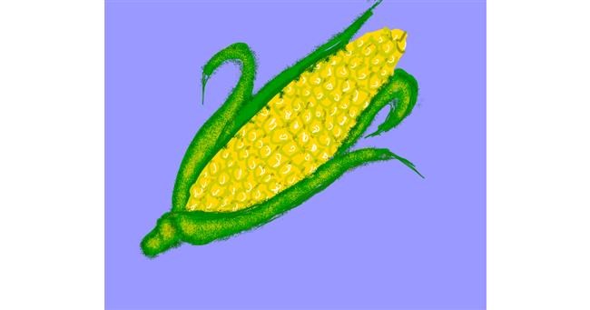 Drawing of Corn by Cherri
