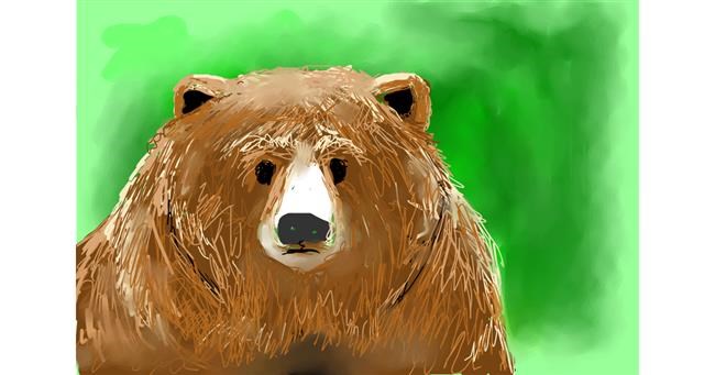 Drawing of Bear by Emit