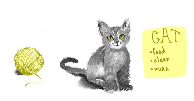 Katze-Zeichnung von Kossara