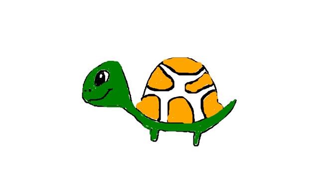 Drawing of Tortoise by Ina