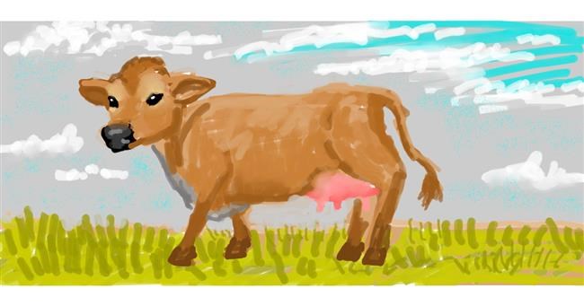 Drawing of Cow by shiNIN