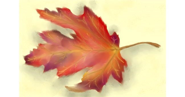 Drawing of Leaf by Wizard