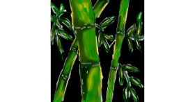 Drawing of Bamboo by XxX