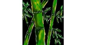 Drawing of Bamboo by XxX