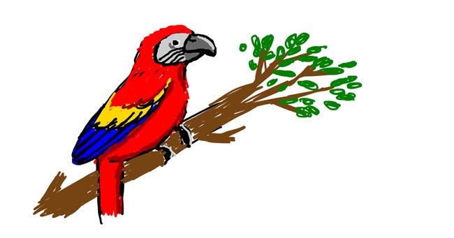 Drawing of Parrot by Chicken 🐓